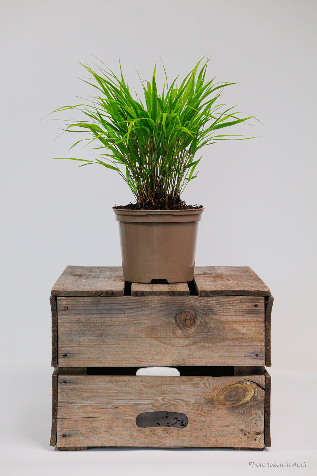 products/SotoProductShootLowQ-1910.jpg